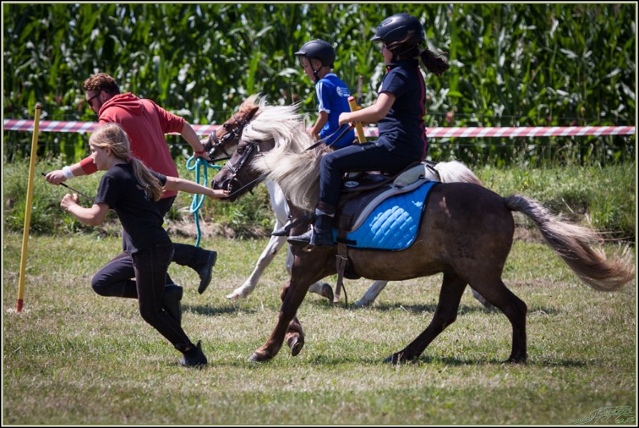 Mounted Games 237